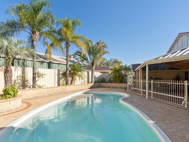 16 Burgandy Court, Thornlie WA 6108