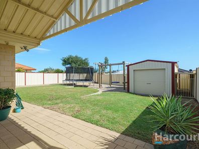 10 Beefwood Street, Banksia Grove WA 6031