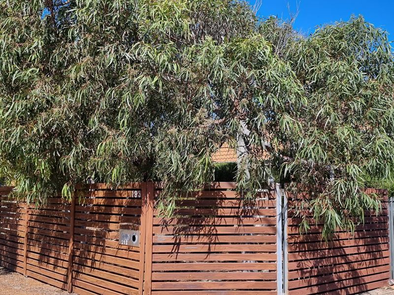 193 Shenton Street, Beachlands