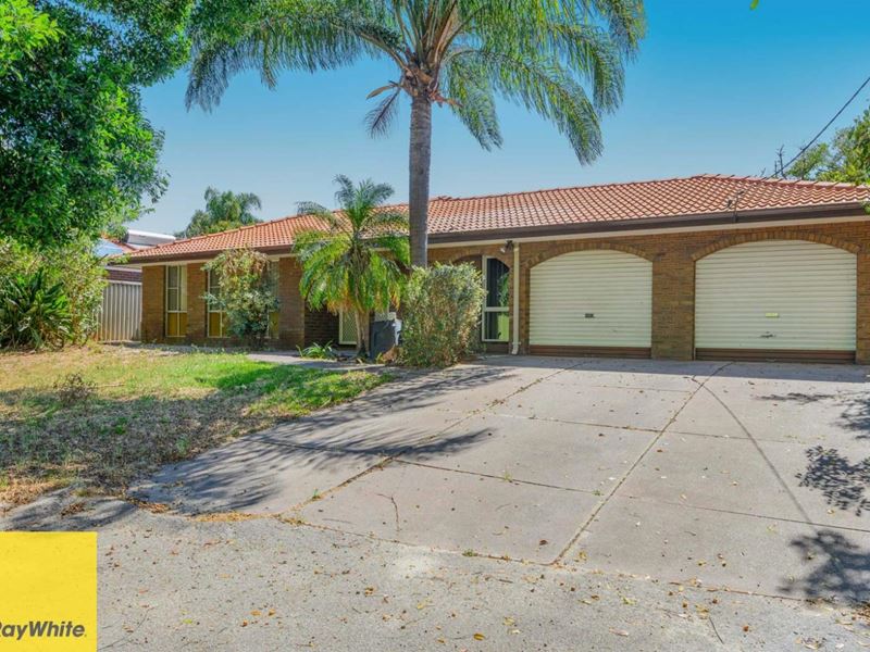 76 Alfreda Avenue, Morley WA 6062