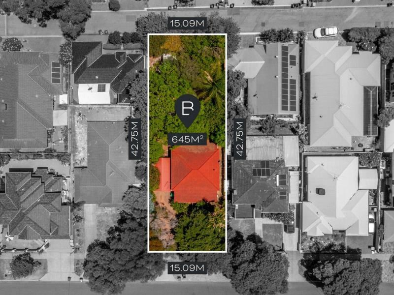 169 Holbeck Street, Doubleview WA 6018