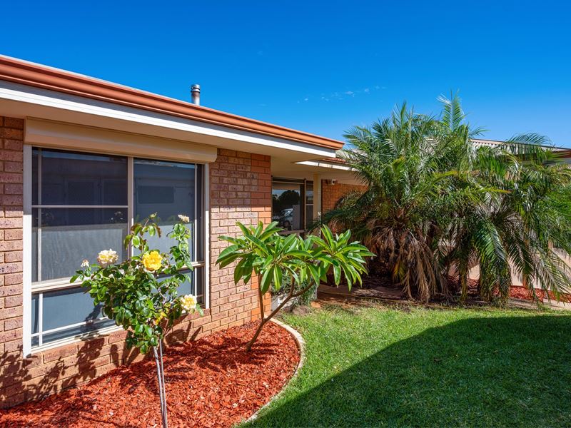 20 Trevaskis Street, Somerville