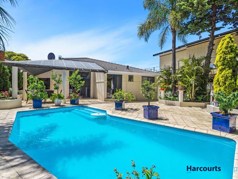 177 Wilding Street, Doubleview WA 6018