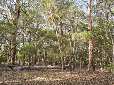 PL 349 Firetail Rise, Karridale WA 6288