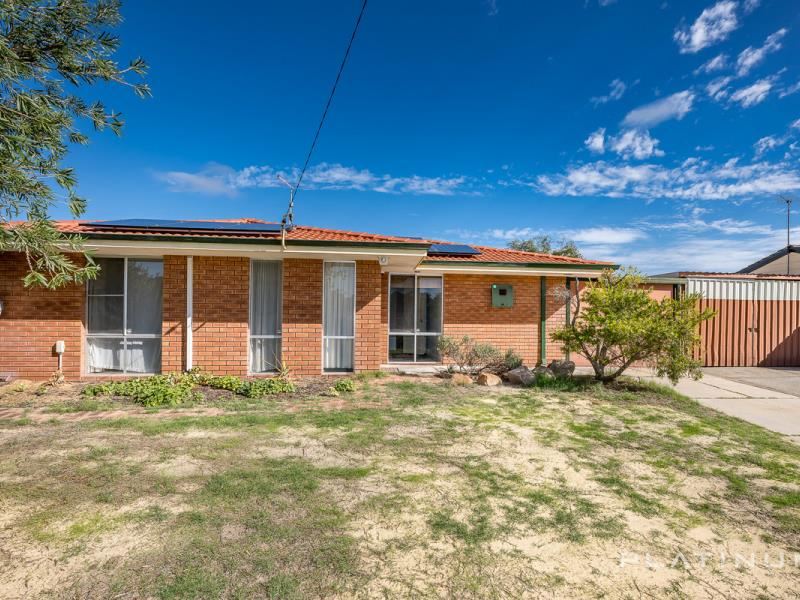 62 Warrandyte Drive, Craigie WA 6025