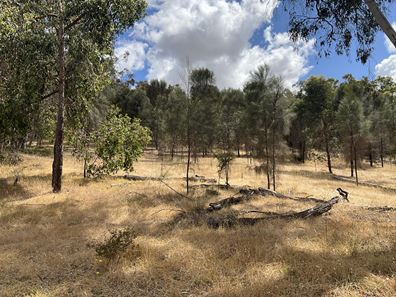 Lot, 102 O'Connell Road, Wandering WA 6308