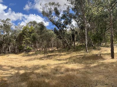 Lot, 102 O'Connell Road, Wandering WA 6308
