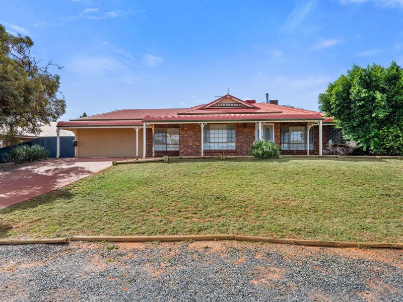 19 Paddington Drive, Hannans WA 6430