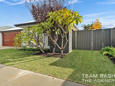52 Salwood Loop, Banksia Grove WA 6031