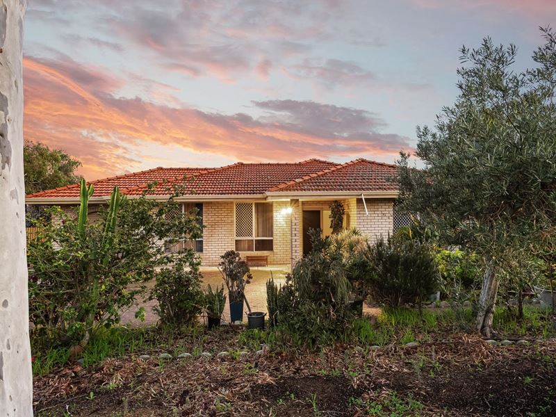 34 Huxley Place, Spearwood WA 6163