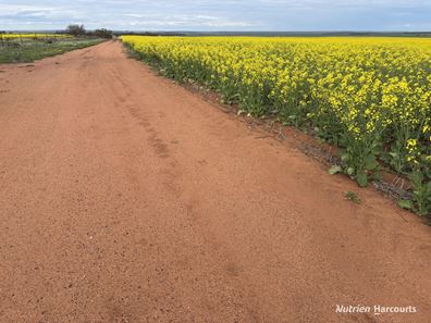 . 'Yetelling', Bencubbin WA 6477