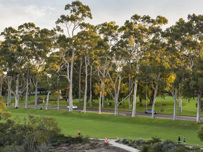 4/2 Bellevue Terrace, West Perth WA 6005