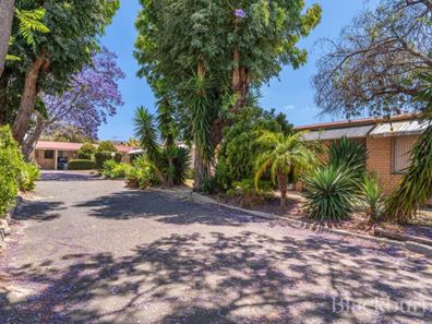 15/47 Shakespeare Avenue, Yokine WA 6060