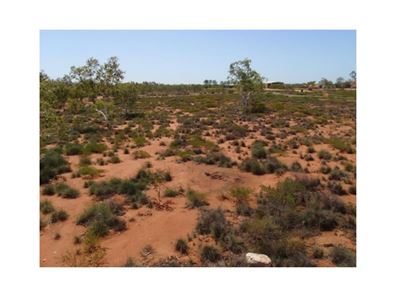 149 Greenfields, Boodarie WA 6722