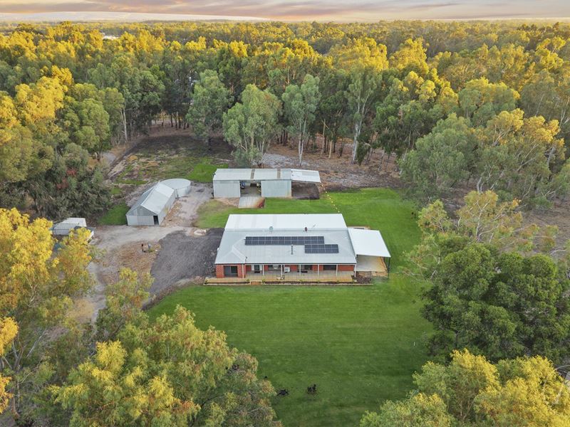 33 Stockmans Close, Oakford WA 6121