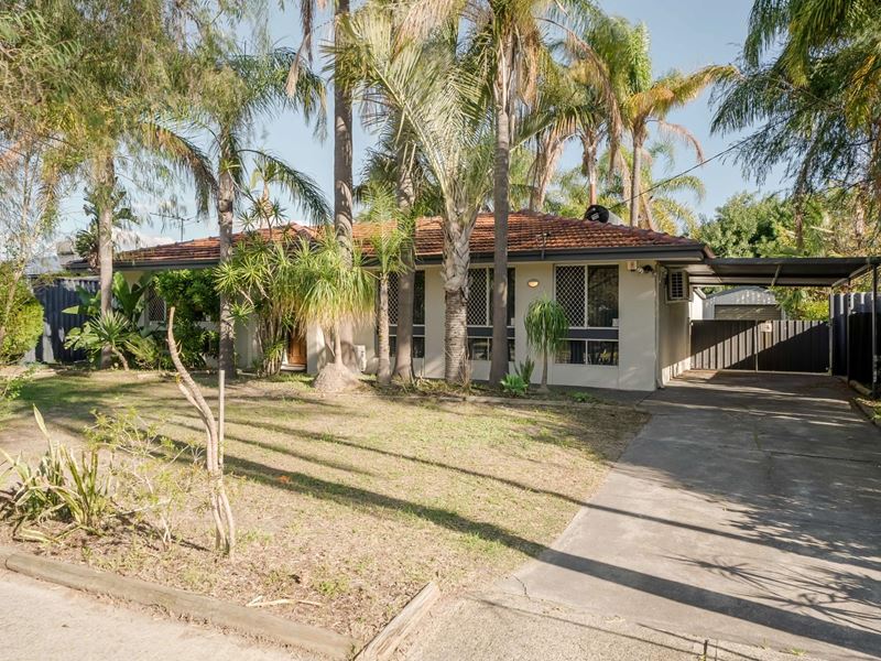 31 Nethercott Street, Huntingdale WA 6110