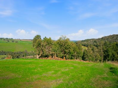 17 Riverview Close, Bridgetown WA 6255