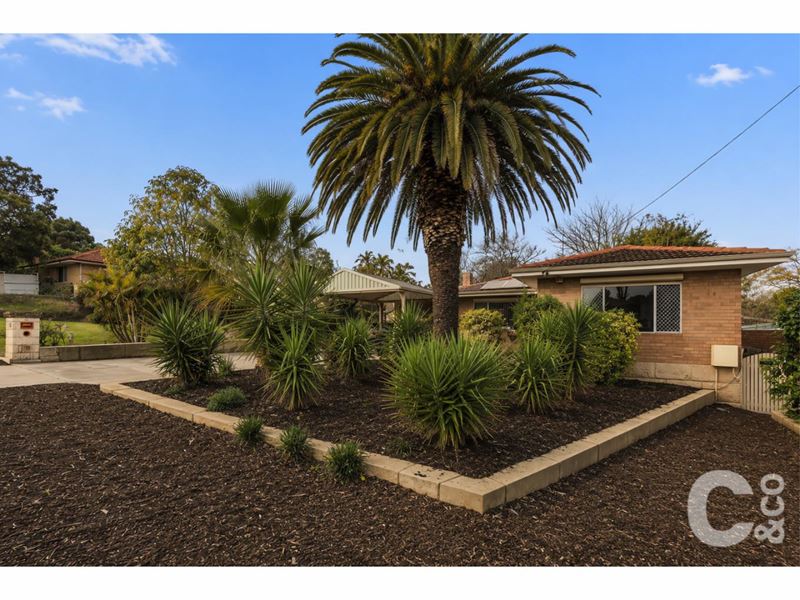 10 Steward Way, Orelia