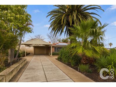 10 Steward Way, Orelia WA 6167