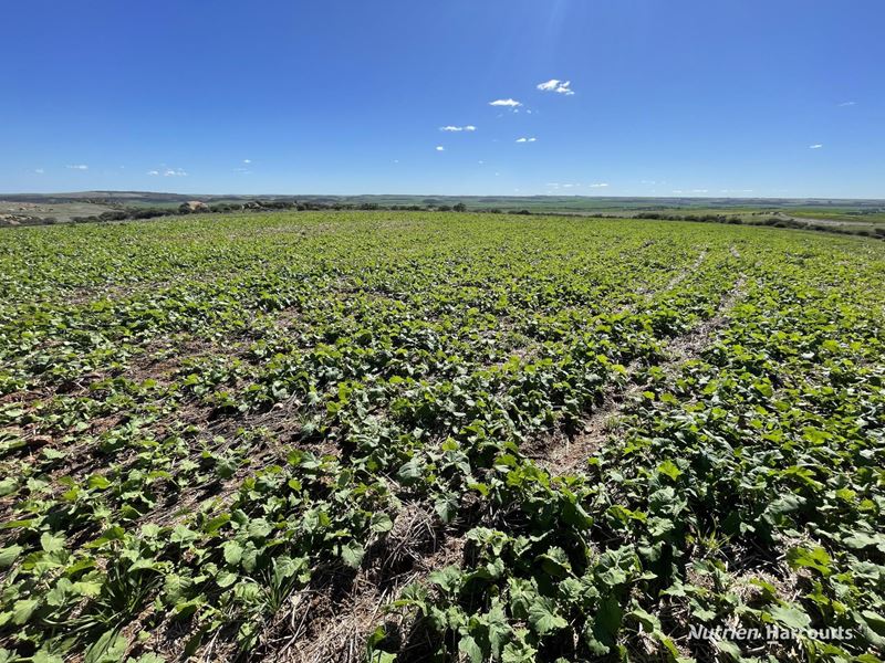 Lot 65 Forrester Road, Mount Erin