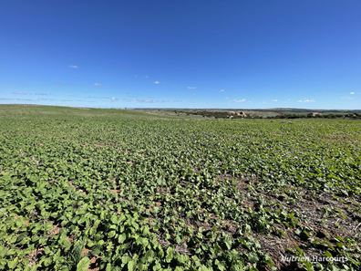 Lot 65 Forrester Road, Mount Erin WA 6532