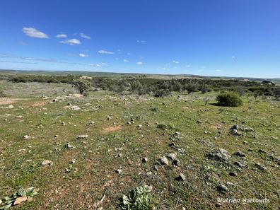 Lot 65 Forrester Road, Mount Erin WA 6532