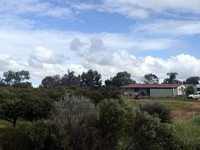 63 Bateman Street, Northampton WA 6535