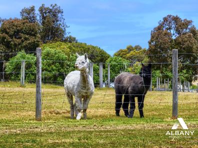 41 Walford Road, Kalgan WA 6330