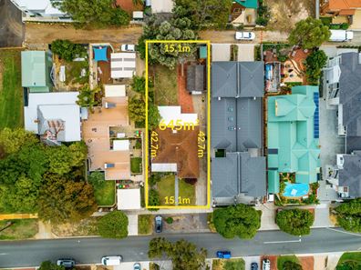 221 Alice Street, Doubleview WA 6018