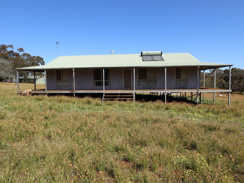 96A Herald Street, Narrogin