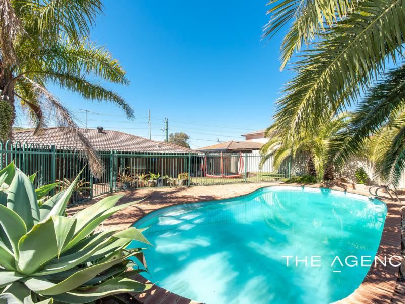 179 Gibson Avenue, Padbury