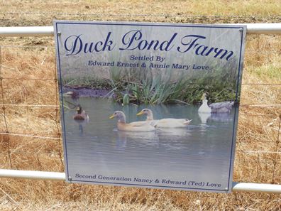 120 Duck Pond Road, Oldbury WA 6121