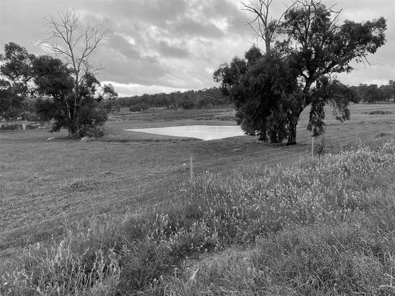Lot 7 Forrest Street, Boddington