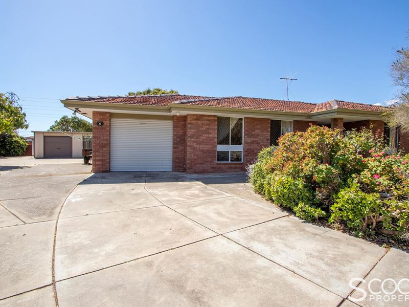 6 Bridson Court, Hamilton Hill