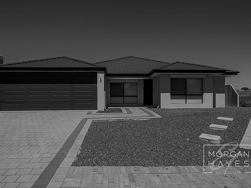37 Daviesia Turn, Success