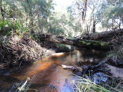 540 Scotsdale Rd, Denmark WA 6333