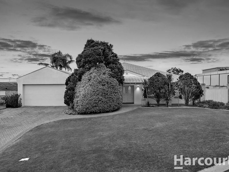 8 Chestnut Rise, Halls Head