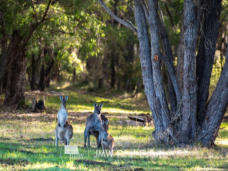 502 Gidgee Road, Witchcliffe