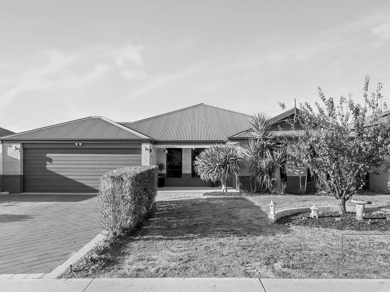 39 Shreeve Road, Canning Vale