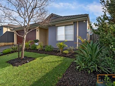 18 Paludosa Link, Banksia Grove WA 6031