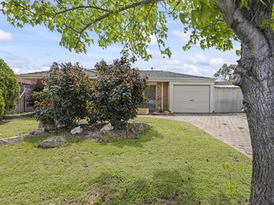 67 Hamelin Drive, Ballajura WA 6066