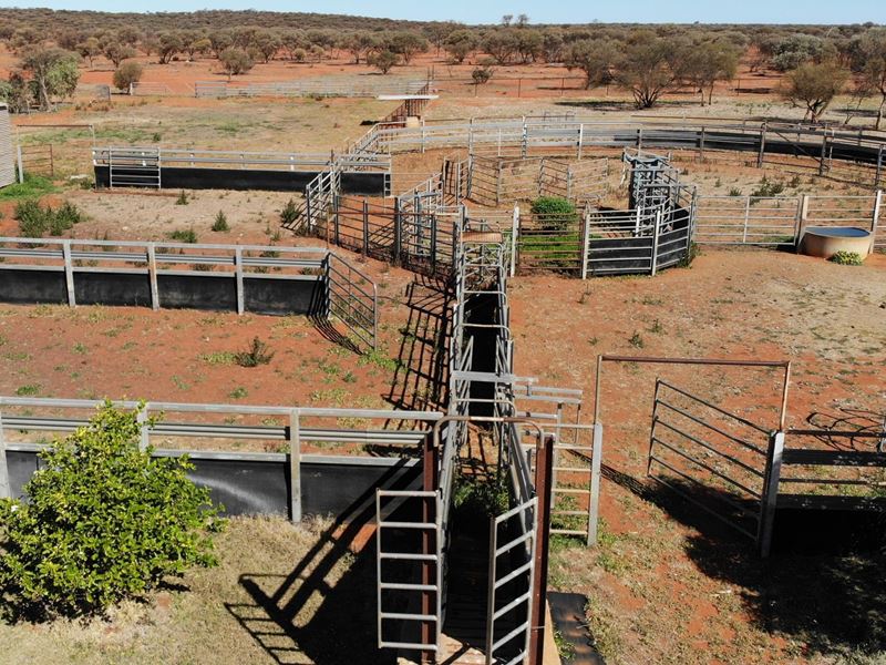 Mount Magnet - Sandstone Road, Mount Magnet