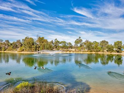 4 Pardoo Lane, Coodanup WA 6210