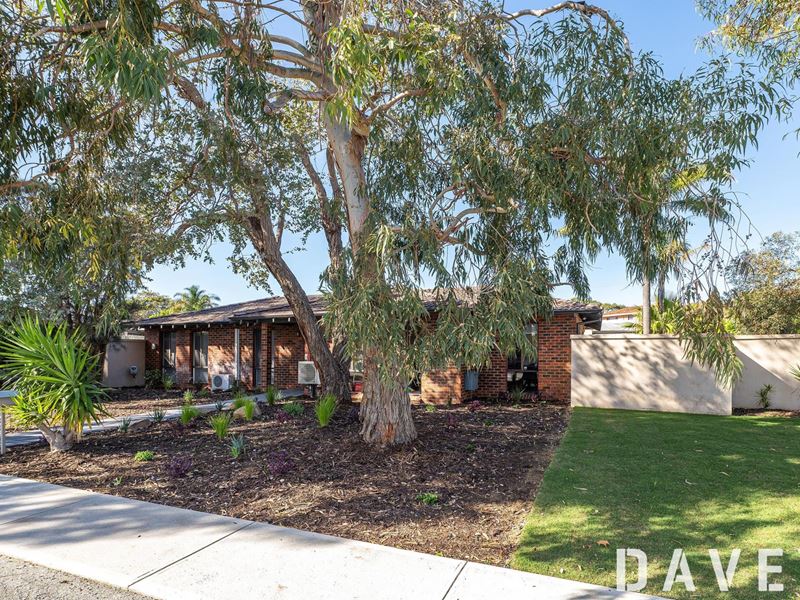 104 Osmaston Road, Carine