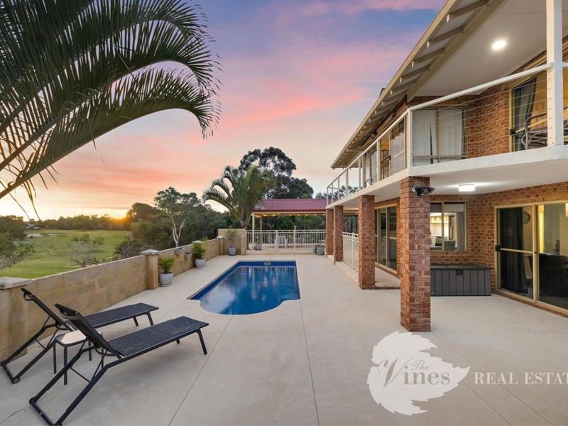 221 Vines Avenue, The Vines