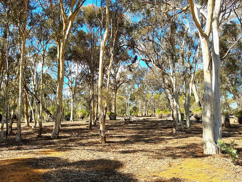 77/ Coondle West Road, Coondle, Toodyay WA 6566