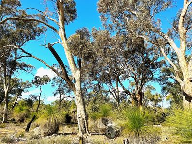 77/ Coondle West Road, Coondle, Toodyay WA 6566