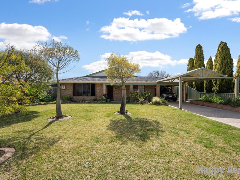 11 Pioneer Drive, Thornlie