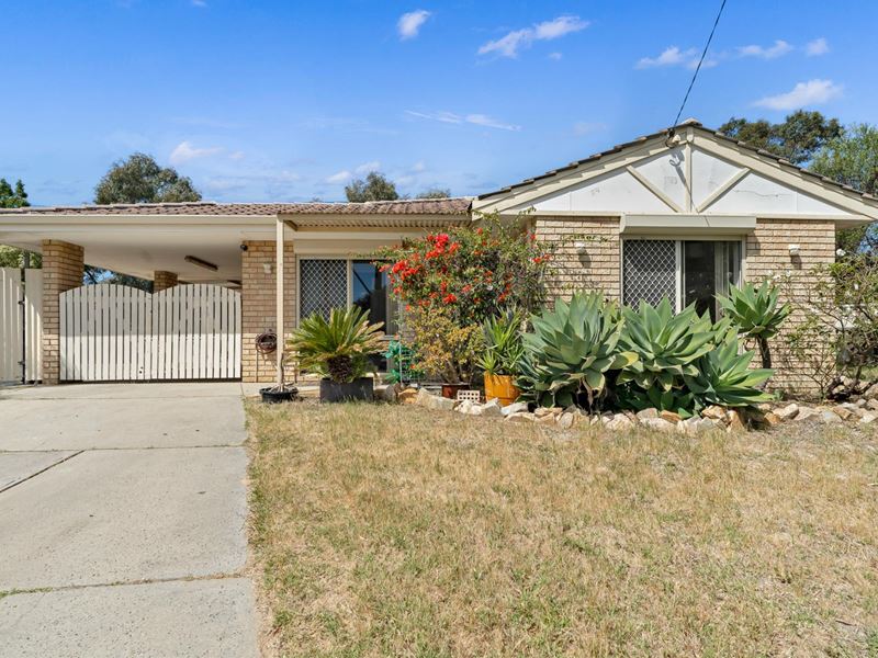 31 Parakeela Grove, Maddington WA 6109