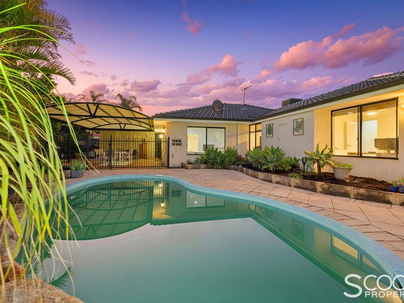 24 Feltbush Mews, Canning Vale WA 6155